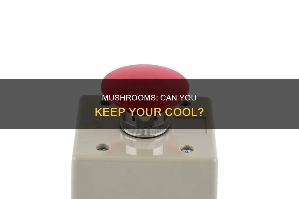 do you have control of yourself on mushrooms