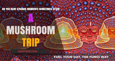 Psychedelic Trips: Strange Moments After Mushroom Use