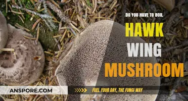 The Ultimate Guide to Cooking Hawk Wing Mushrooms