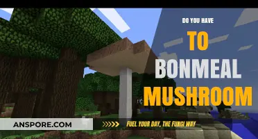 Bonemeal for Mushrooms: Is It Necessary?