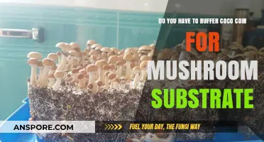The Ultimate Guide to Buffering Coco Coir for Mushrooms