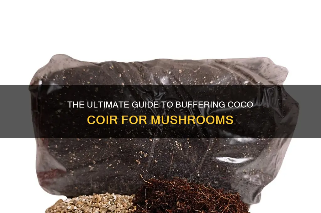 do you have to buffer coco coir for mushroom substrate