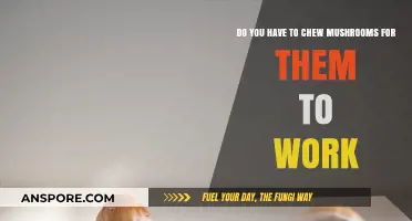 Chewing Magic Mushrooms: Does It Make Them Work Faster?