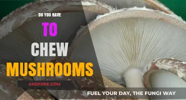 Should You Chew Mushrooms? Exploring Consumption Methods and Benefits