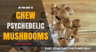 Chewing Magic Mushrooms: Necessary Trip or Bad Trip?