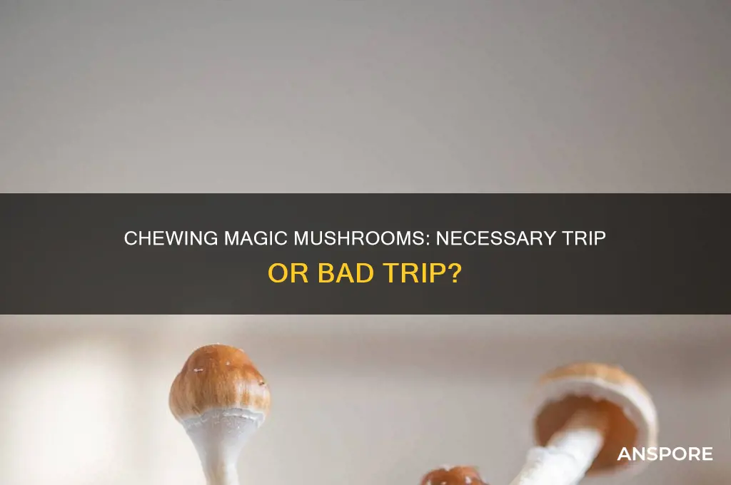 do you have to chew psychedelic mushrooms