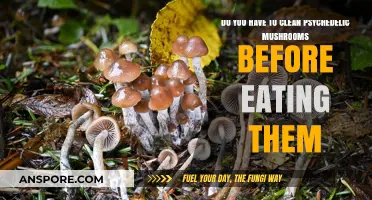Should You Clean Psychedelic Mushrooms Before Consumption? Essential Tips