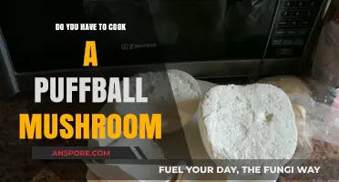 Cooking Puffball Mushrooms: Essential Tips for Safe and Delicious Preparation