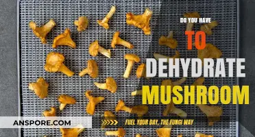 Dehydrating Mushrooms: An Essential Step for Longevity