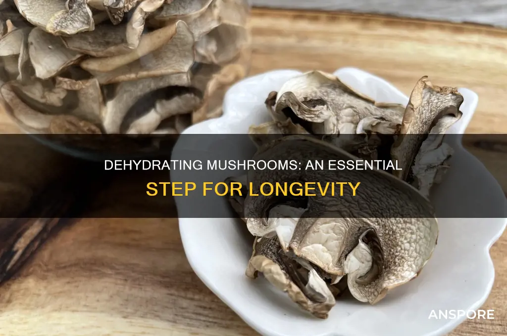 do you have to dehydrate mushrooms