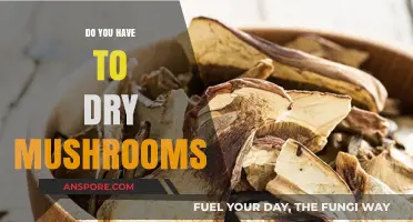 Drying Mushrooms: An Essential Step?