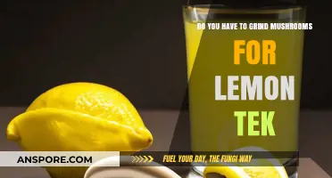 Grinding Mushrooms for Lemon Tek: Is It Necessary?