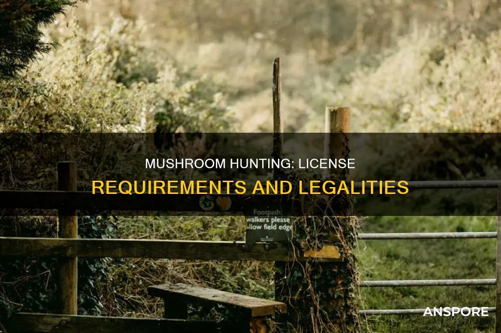 do you have to have a license to hunt mushrooms