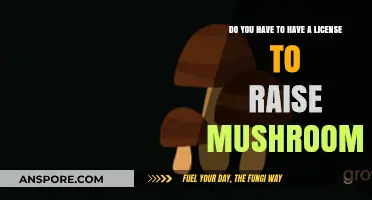 Mushroom Cultivation: License Requirements and Legalities