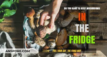 The Best Way to Store Mushrooms: Fridge or Shelf?