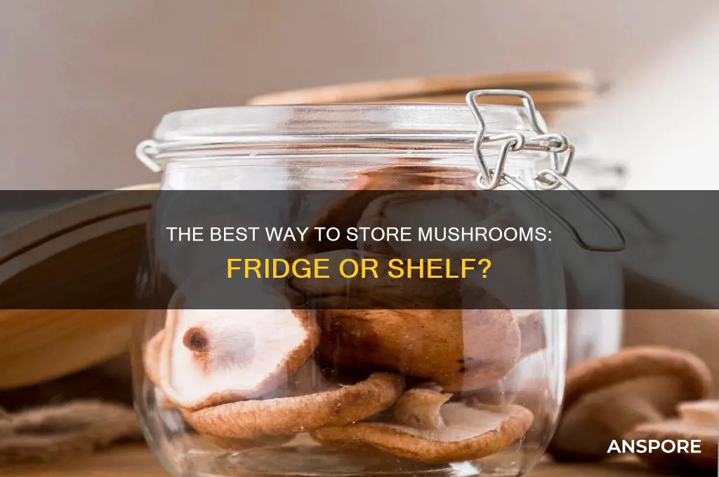 do you have to keep mushrooms in the fridge