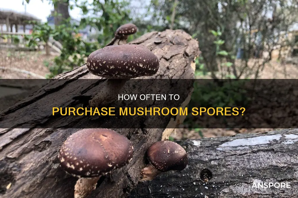 do you have to keep rebuying mushroom spores