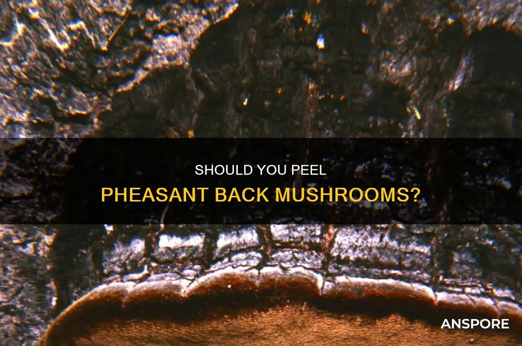 do you have to peel pheasant back mushroom