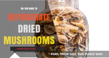 Dried Mushrooms: Fridge or Pantry?