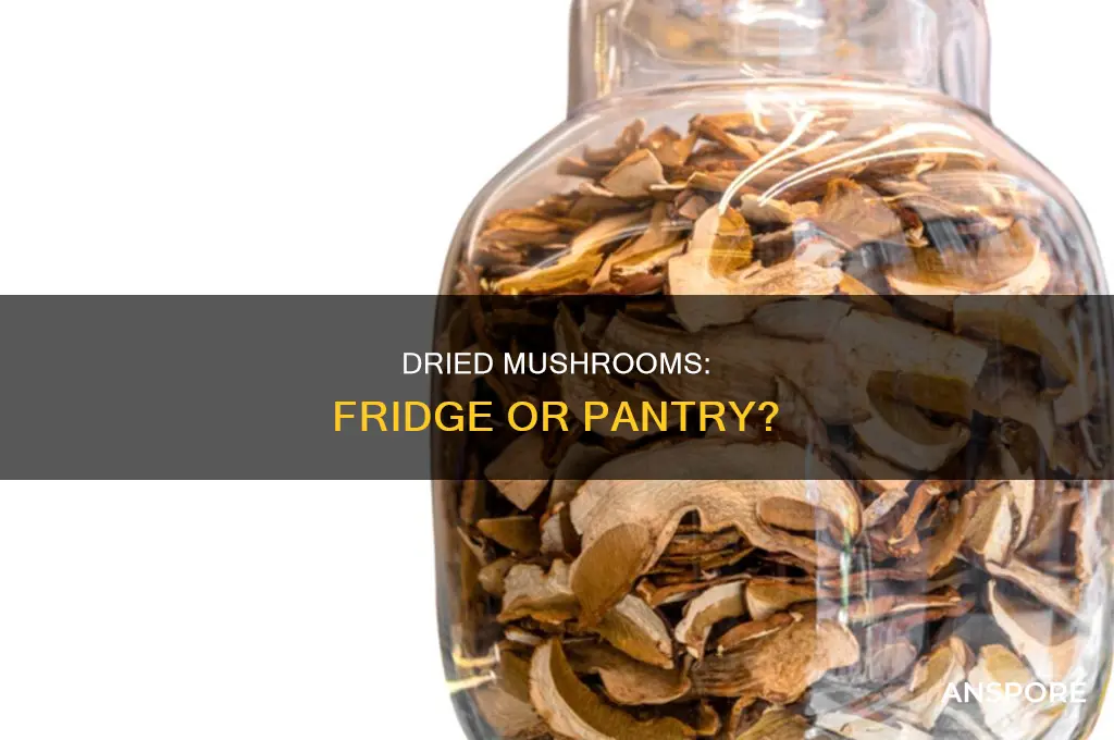do you have to refrigerate dried mushrooms