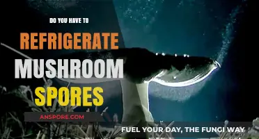 How to Store Mushroom Spores: Fridge or No Fridge?