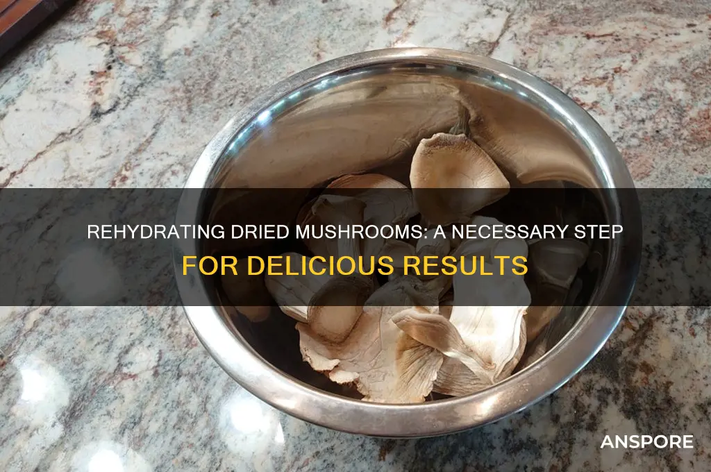 do you have to rehydrate dried mushrooms