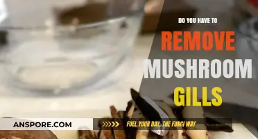 The Ultimate Guide: Removing Mushroom Gills