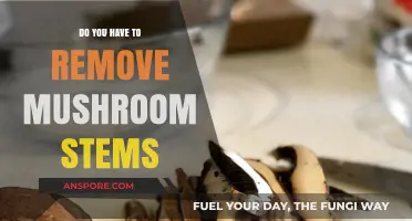 The Stem Conundrum: To Remove or Not Remove?