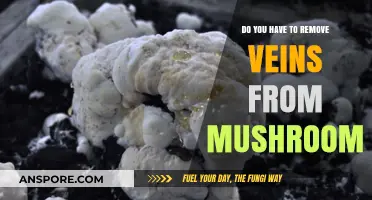 Should You Remove Veins from Mushrooms?