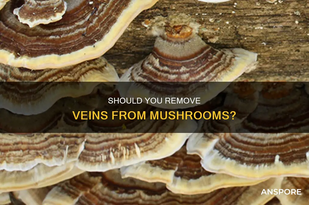 do you have to remove veins from mushroom