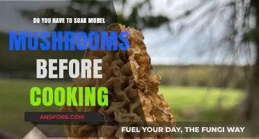Should You Soak Morel Mushrooms Before Cooking? Expert Tips Revealed