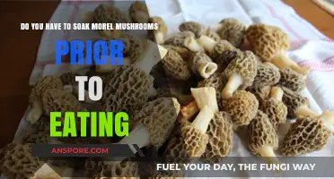 Should You Soak Morel Mushrooms Before Cooking or Eating?