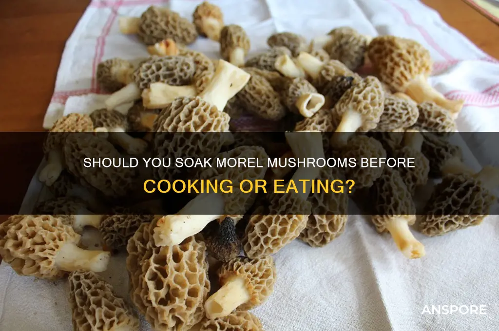do you have to soak morel mushrooms prior to eating
