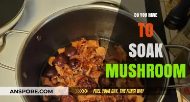 The Ultimate Guide: Soaking Mushrooms Before Cooking
