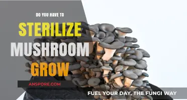 Sterilizing Mushroom Grow Kits: Essential or Optional for Successful Harvests?