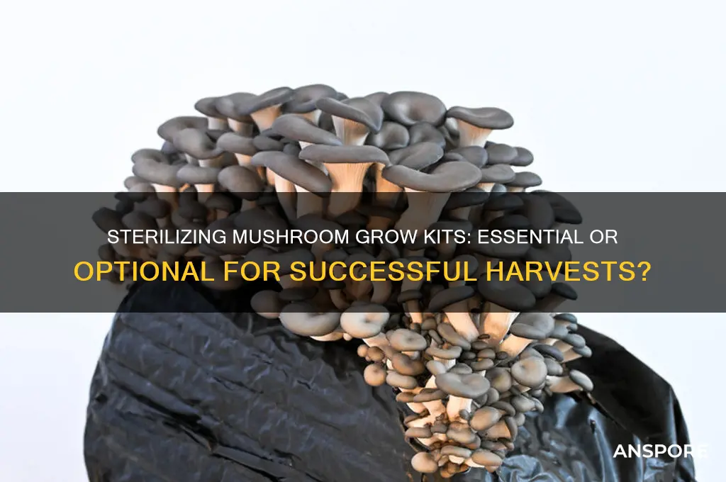 do you have to sterilize mushroom grow