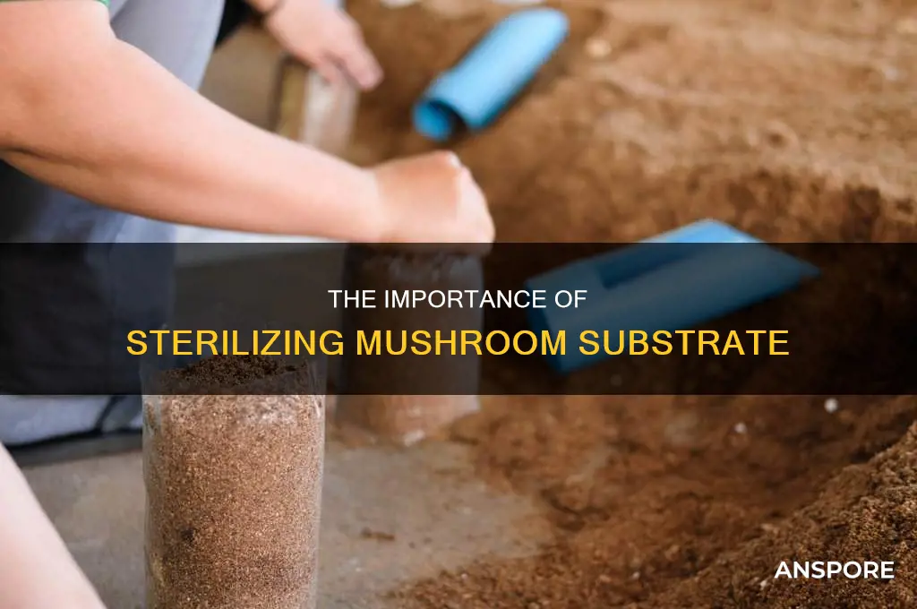 do you have to sterilize mushroom substrate