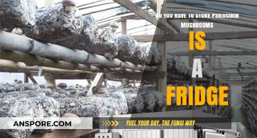 Storing Magic Mushrooms: Fridge or Not?