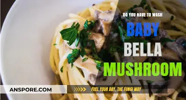 Washing Baby Bellas: A Quick Rinse or Deep Clean?