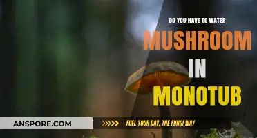 Mushroom Cultivation: Watering Techniques for Monotubs