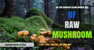 How to Clean Mushrooms: Do Spores Need to Go?
