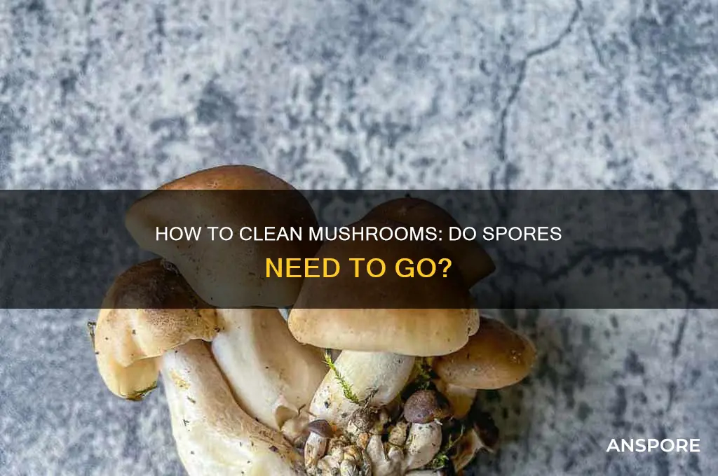 do you havevto clean spores out of raw mushrooms