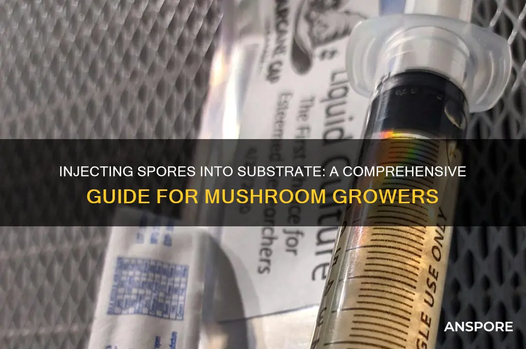 do you inject spores into the substrate