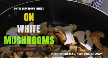 Should You Keep Mushroom Stems?