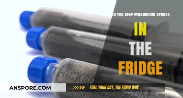 Storing Mushroom Spores: Fridge or Not? A Complete Guide