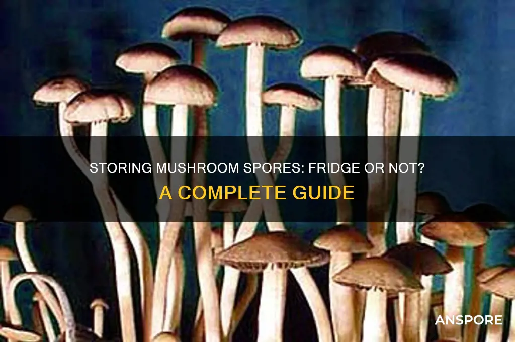do you keep mushroom spores in the fridge