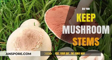 Should Mushroom Stems Be Kept or Tossed?