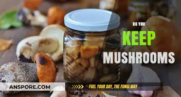How to Properly Store Mushrooms?