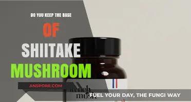 Shiitake Mushroom Base: To Keep or Not to Keep?