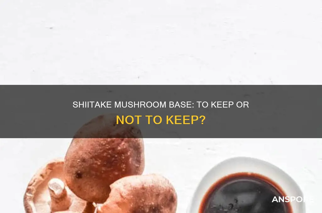 do you keep the base of shiitake mushroom